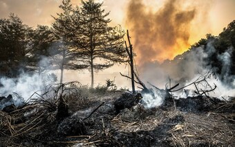 Оценка ущерба после стихийного бедствия в Астрахани: отчет оценщика